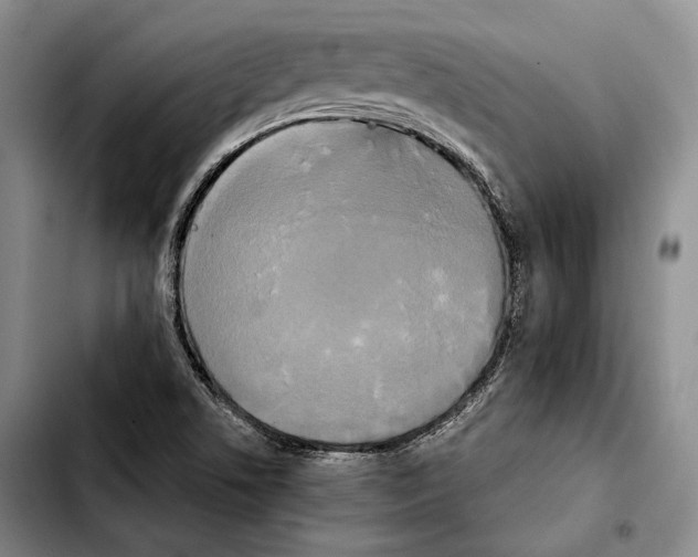 X0000103901506200810101233