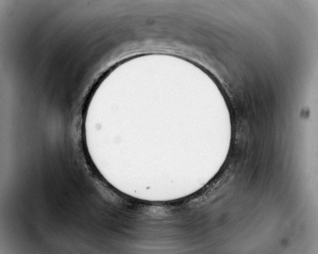 X0000103901507200810101233