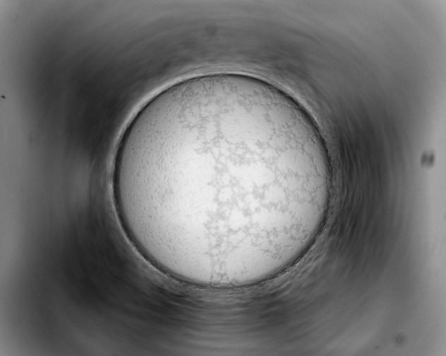 X0000103901508200810101233