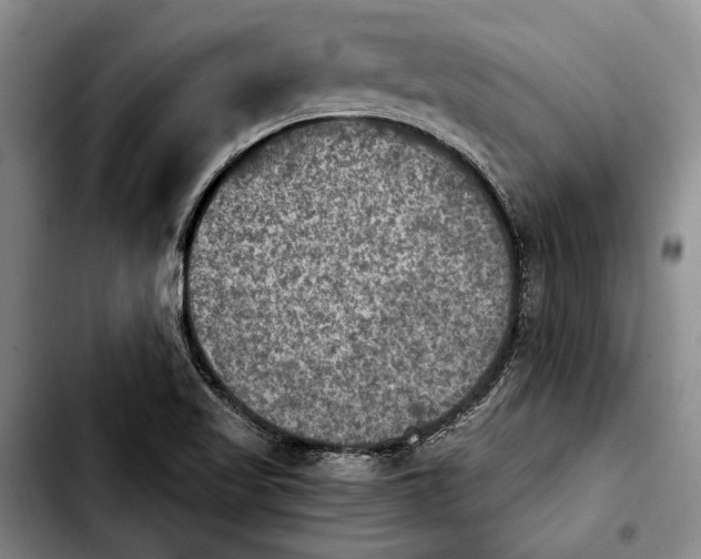 X0000103901509200810101233