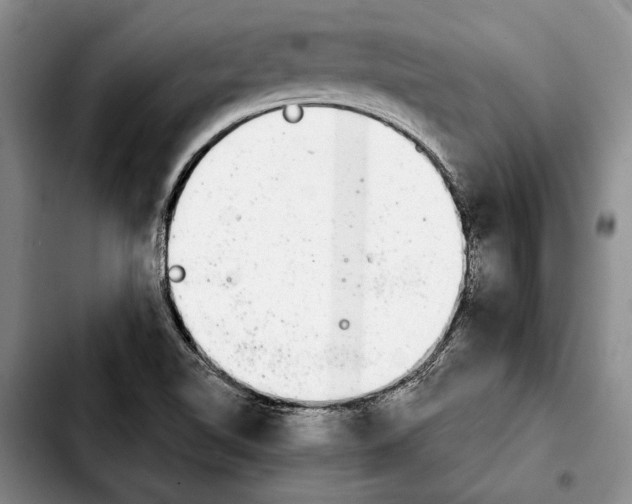 X0000103901510200810101233