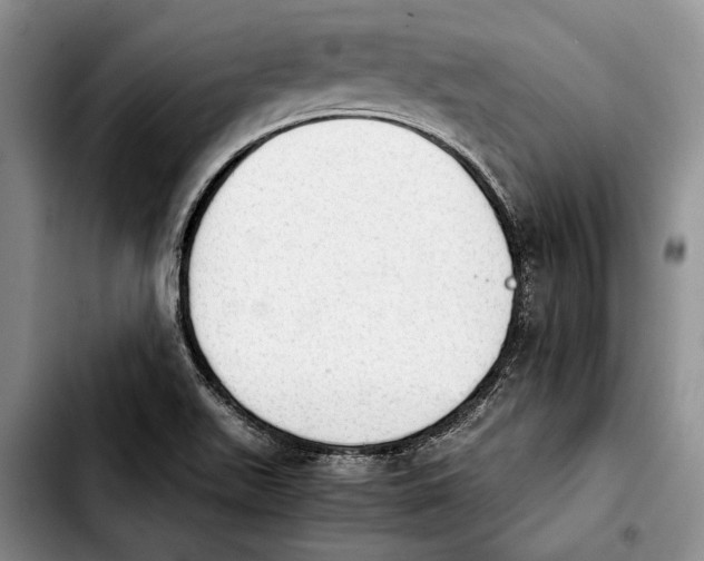 X0000103901511200810101233