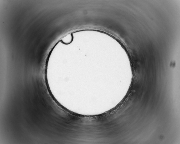 X0000103901512200810101233