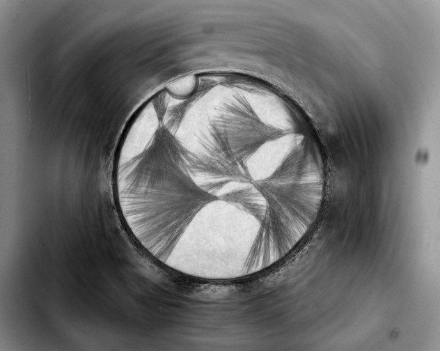 X0000103901513200810101233