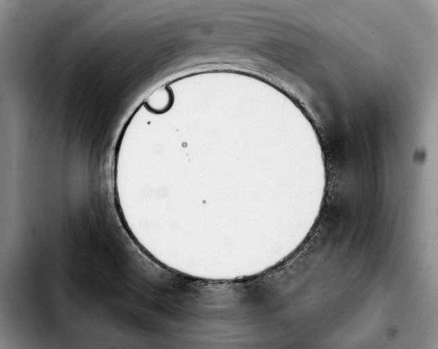 X0000103901516200810101233