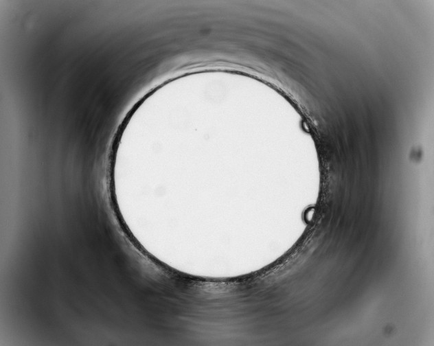 X0000103901518200810101233