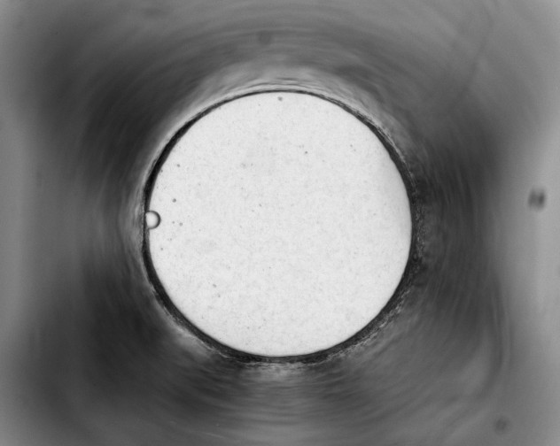 X0000103901519200810101233