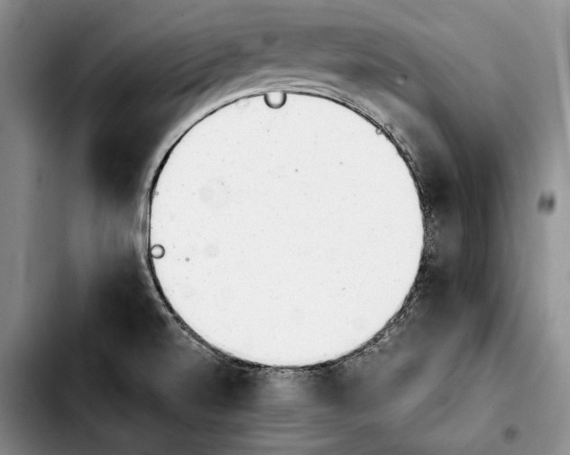 X0000103901520200810101233