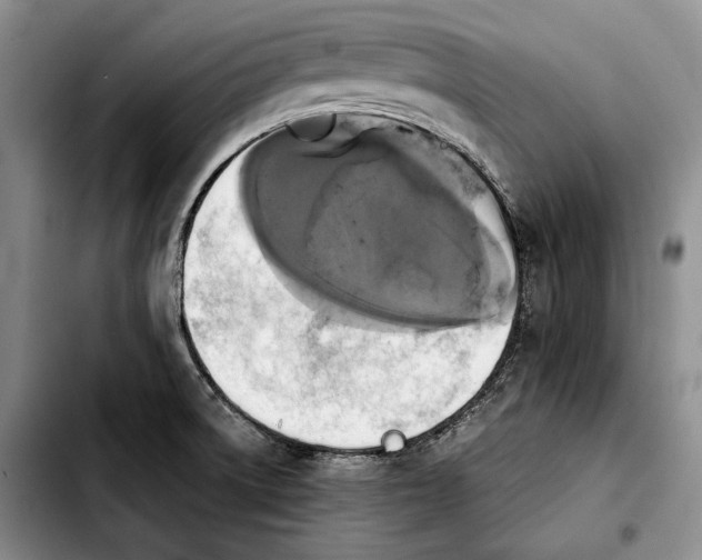 X0000103901522200810101233