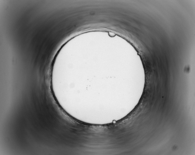 X0000103901526200810101233