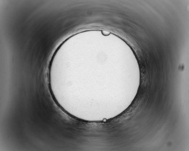 X0000103901527200810101233