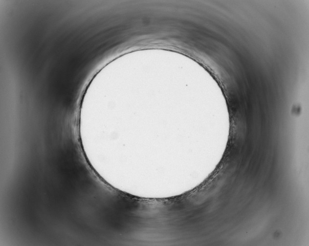 X0000103901528200810101233