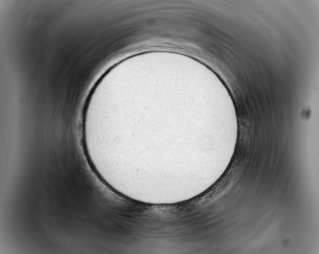 X0000103901531200810101233