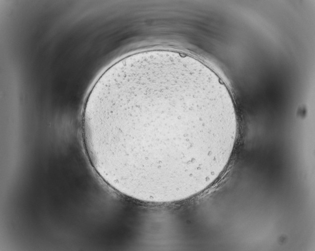 X0000103901532200810101233