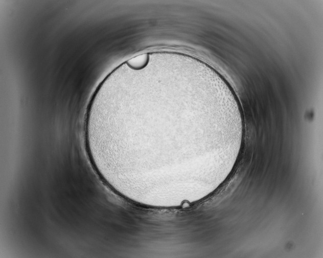 X0000103901533200810101233