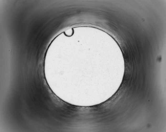 X0000103901534200810101233