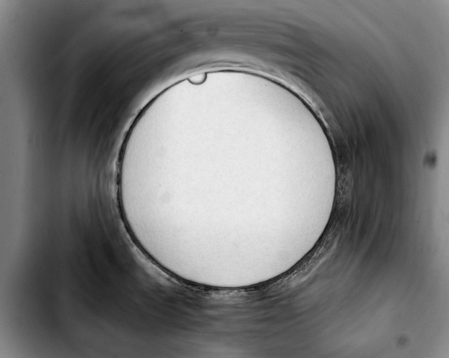 X0000103901535200810101233