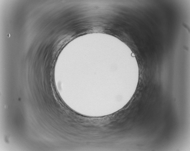 X0000103900001200810171625