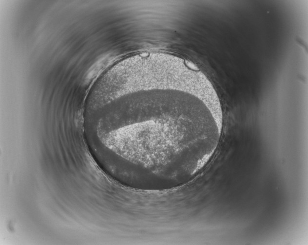 X0000103900002200810171625