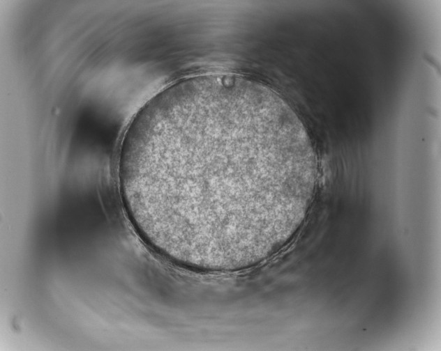 X0000103900004200810171625