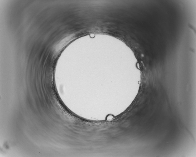 X0000103900005200810171625