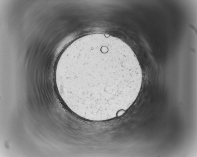 X0000103900006200810171625