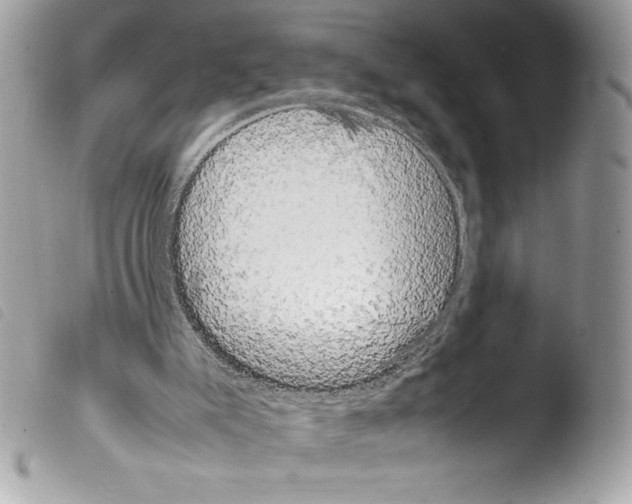 X0000103900007200810171625