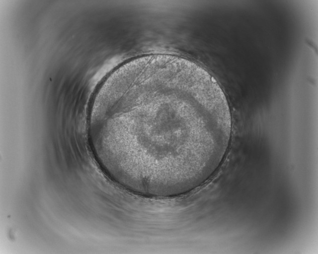 X0000103900008200810171625