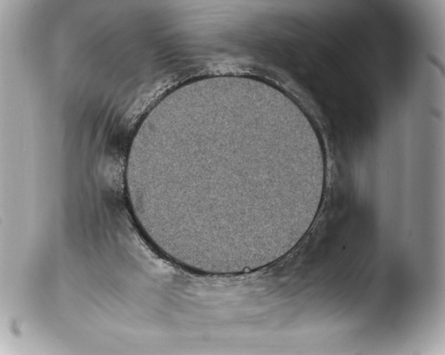 X0000103900009200810171625