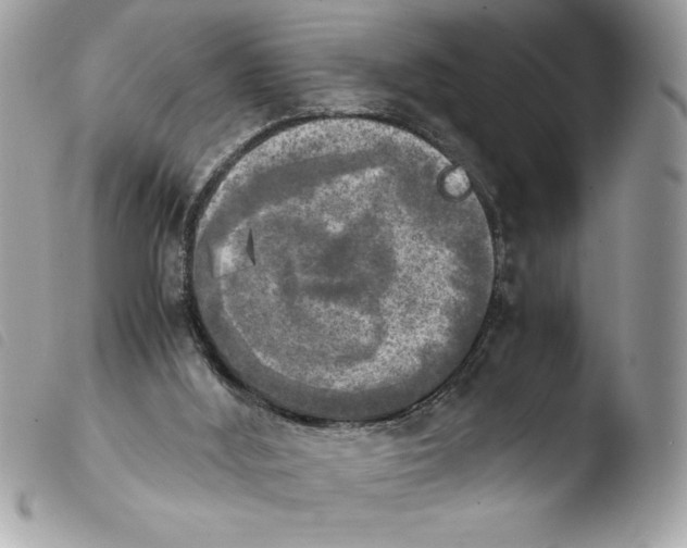 X0000103900012200810171625