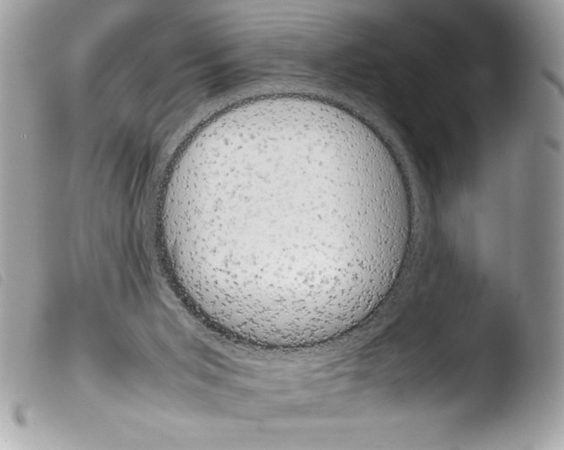 X0000103900015200810171625