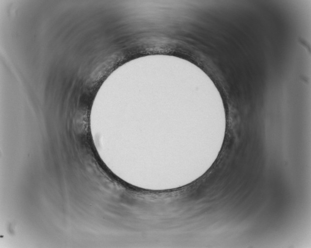 X0000103900017200810171625