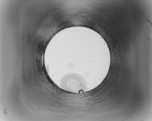 X0000103900019200810171625