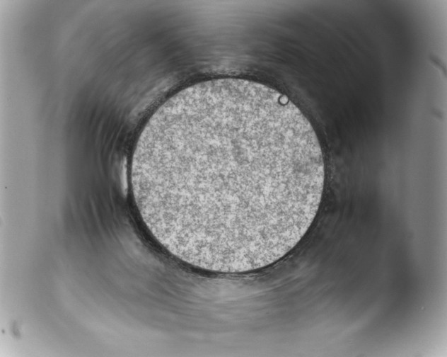 X0000103900020200810171625