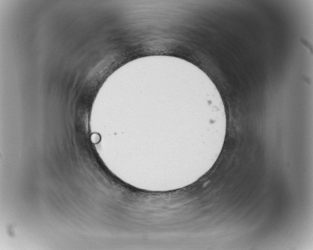 X0000103900021200810171625