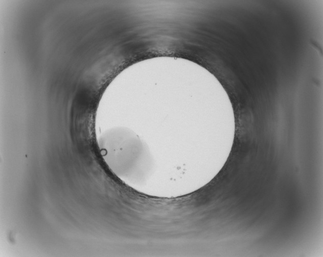 X0000103900023200810171625