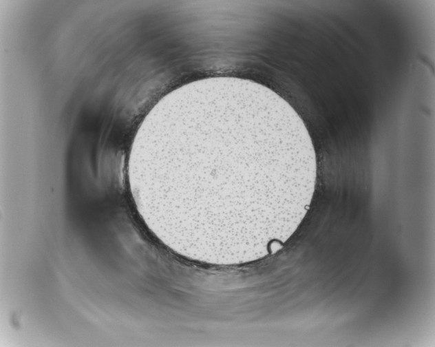 X0000103900024200810171625