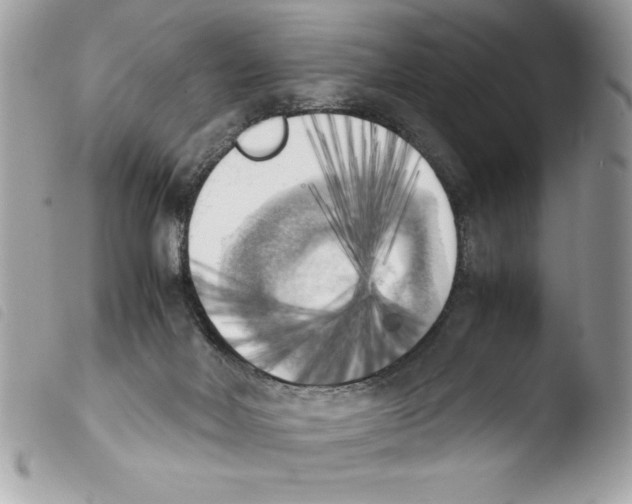 X0000103900026200810171624