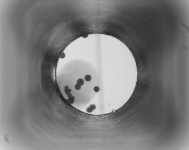 X0000103900027200810171624