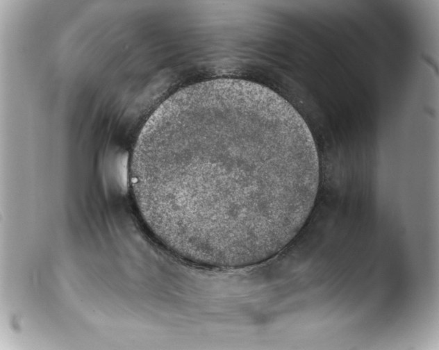 X0000103900028200810171624