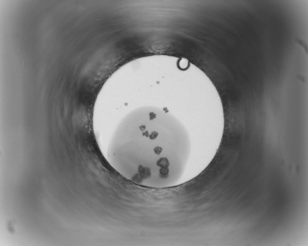 X0000103900031200810171624