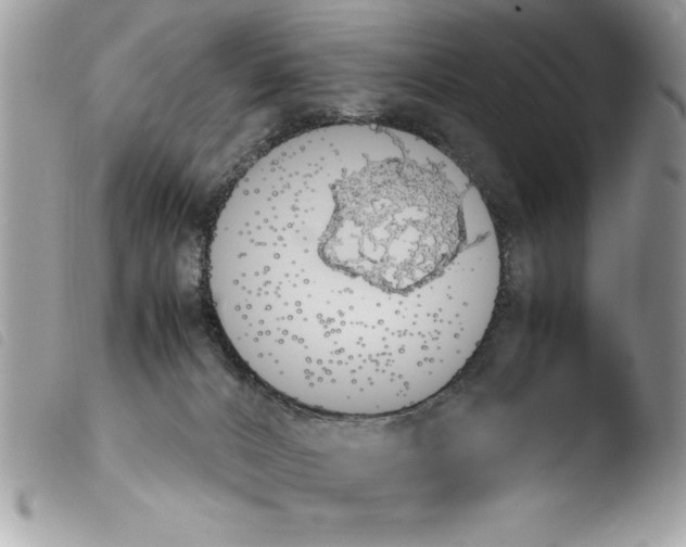 X0000103900032200810171624