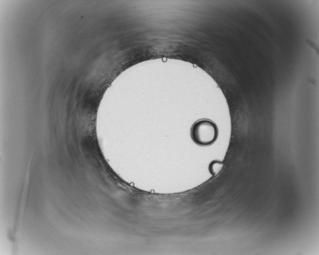 X0000103900033200810171624