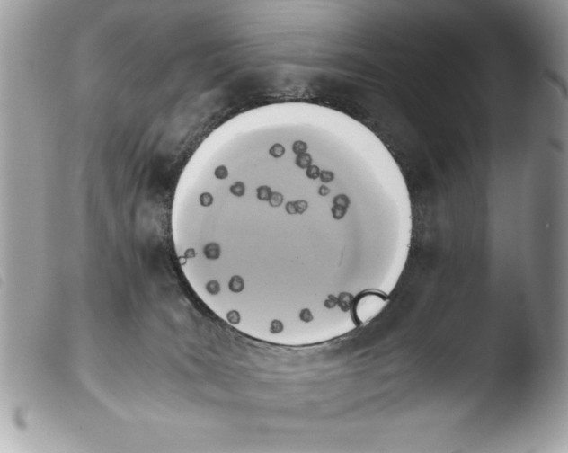 X0000103900035200810171624