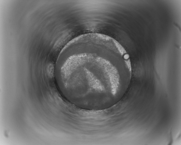 X0000103900036200810171624