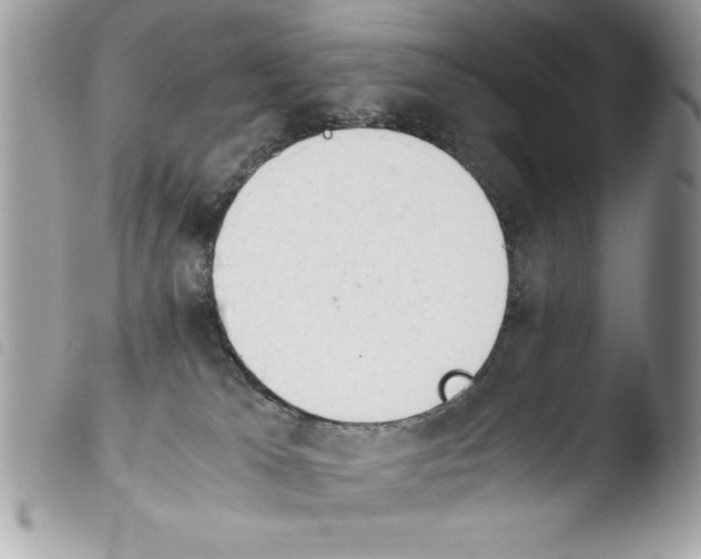 X0000103900037200810171624