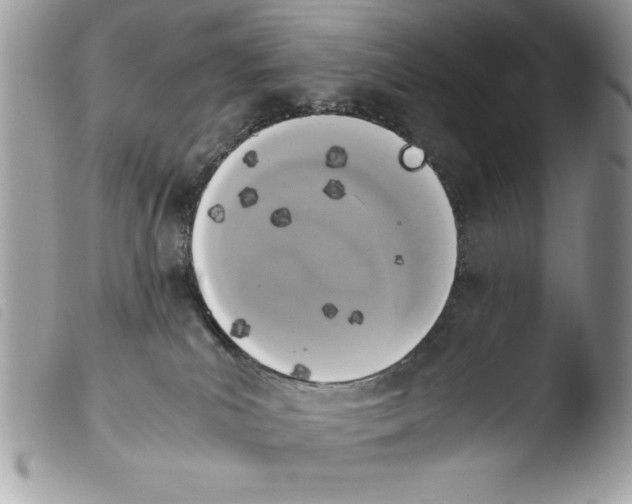 X0000103900039200810171624