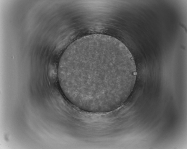 X0000103900040200810171624