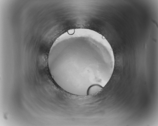 X0000103900043200810171624