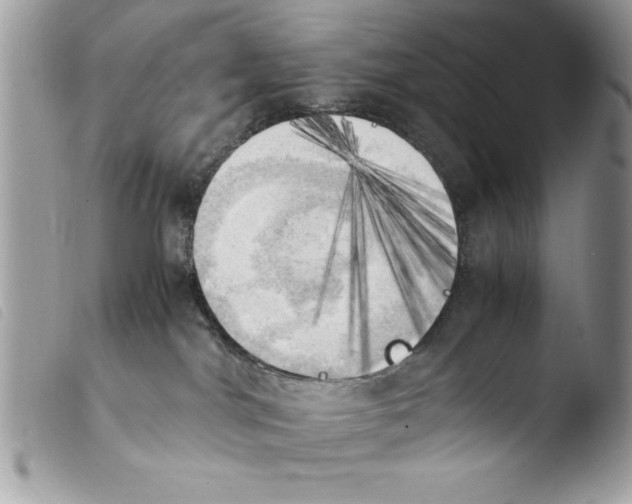 X0000103900044200810171624